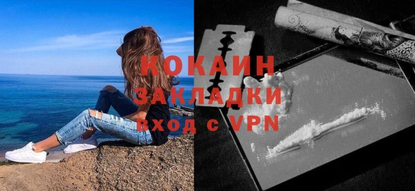 соль ск Богданович